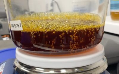 The before  Our team has been hard at work in the lab preparing our oils. #leviavideo