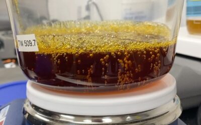 The before  Our team has been hard at work in the lab preparing our oils. #leviavideo