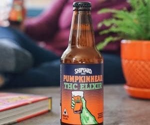 The Next Draft: Sip, Sip, Pass: Breweries should explore cannabis-infused beverages