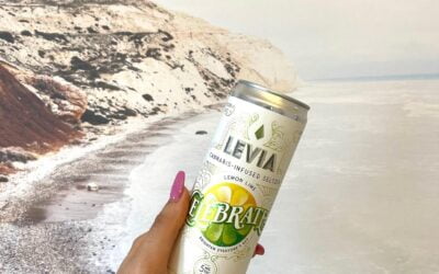 Pretending we are here instead of experiencing snow in mid-April  #leviabrands