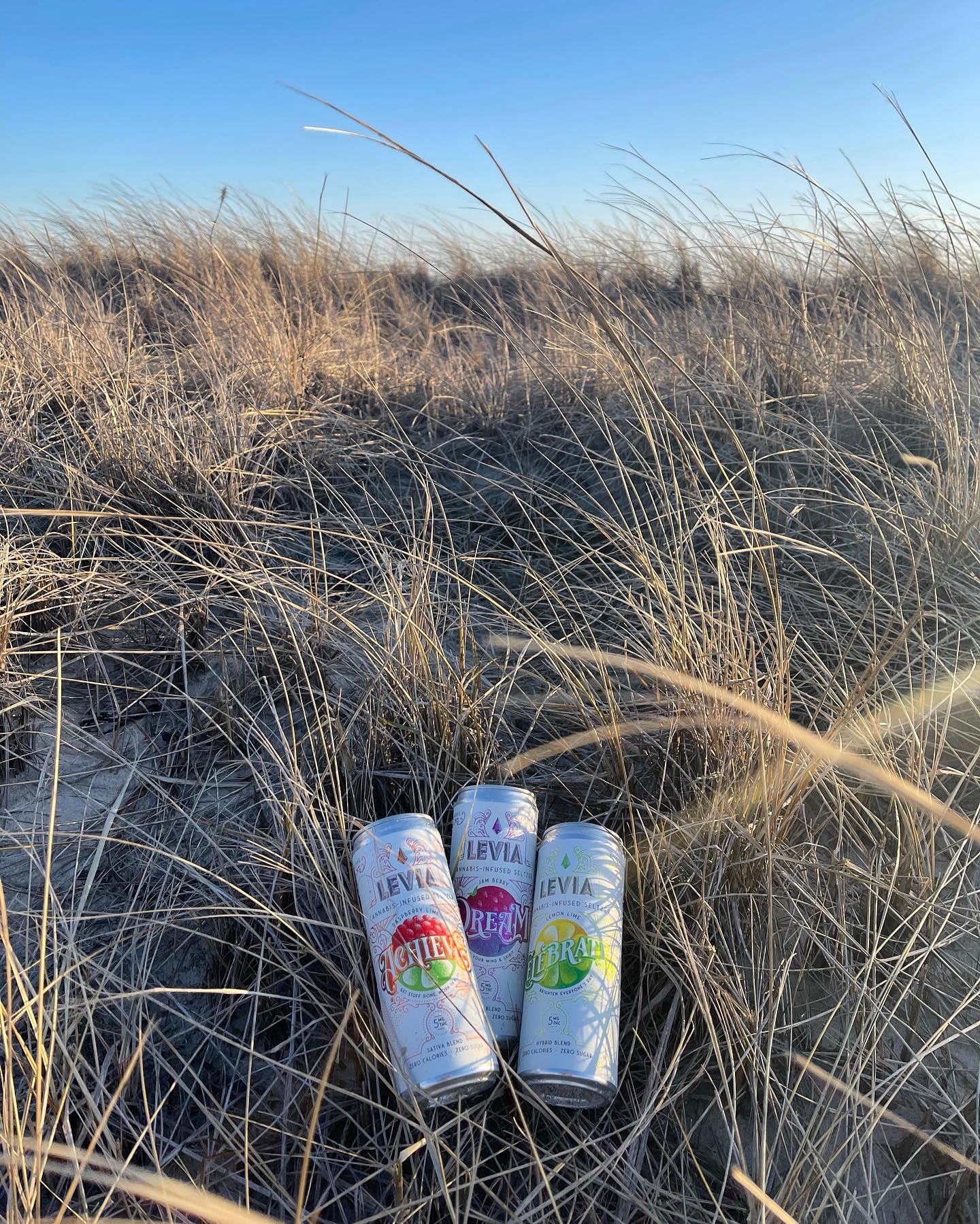 Happy Earth Day 🌎