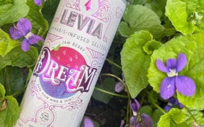 Take it from us – don’t quit your day dream #livinthedream #leviabrands