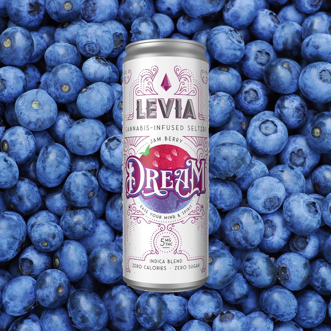 LEVIA  Chill with LEVIA Dream