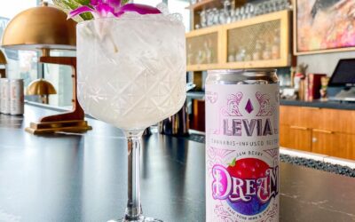 Another masterpiece by @jaygio2 1 oz citrus juice (lemon/lime) 1 oz simple syrup 2 oz water ice top with LEVIA Dream 💭 #leviabrands