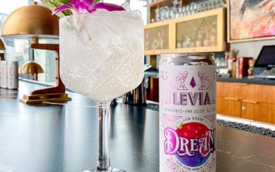 Another masterpiece by @jaygio2 1 oz citrus juice (lemon/lime) 1 oz simple syrup 2 oz water ice top with LEVIA Dream 💭 #leviabrands