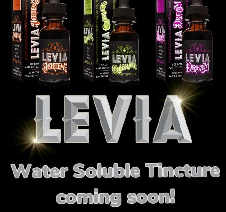 Coming soon to select MA dispensaries, LEVIA’s Water Soluble Tincture! It’s exactly what you have been waiting for. Coming this July. #tincture #Levia #leviaseltzer #massachusetts #cannabis #leviabrands