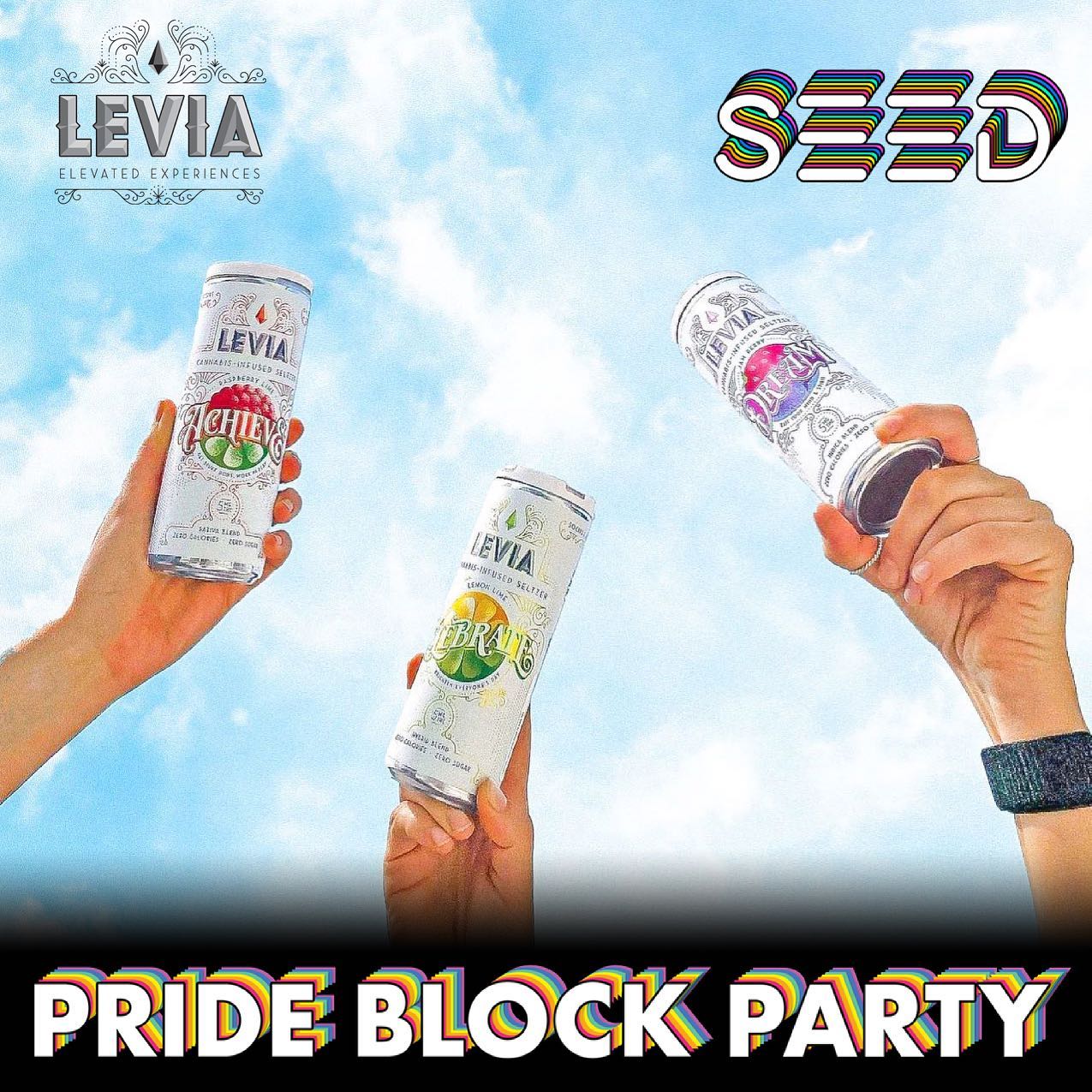 Join us this Sunday June 27th for seedyourheads from 12pm 8pm on Perkins Street
