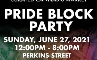 @seedyourhead is celebrating pride with an all-day block party on Sunday, June 27th and the LEVIA team will be there all day! From 12pm to 8pm Perkins Street will be packed with food vendors, cannabis vendors, food, giveaways, contests, family games, a 21+ lounge, and a costume parade with prizes for the best costume. There will be entertainment all day, including, live performances by local bands and artists as well as a live drag show hosted by Boston’s infamous Queen Mizery McRae (@mizery21) Admission is free, we hope to see you all there! #leviabrands