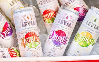 Kick it with the coolest 😎 : @rebelledispensary #leviabrands