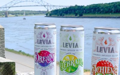 Summer’s greatest hits 😎 #leviabrands