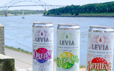 Summer’s greatest hits 😎 #leviabrands