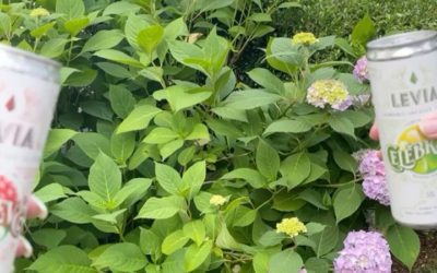 Cheers to all the incredible runners that are achieving a huge feat during today’s @bostonmarathon! We celebrate you and your amazing accomplishment ‍♀️‍♂️ #leviavideo