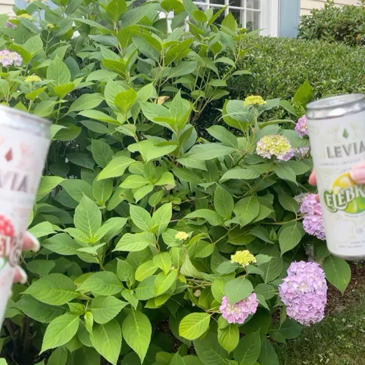 2450975194003589350217154336770576788307363n1 | LEVIA Cheers to all the incredible runners that are achieving a huge feat during todays bostonmarathon We celebrate you and your amazing accomplishment ♀️♂️