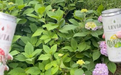 Cheers to all the incredible runners that are achieving a huge feat during today’s @bostonmarathon! We celebrate you and your amazing accomplishment ‍♀️‍♂️ #leviavideo