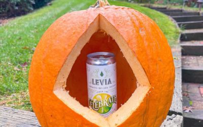 our favorite way to celebrate any holiday! have a safe & happy Halloween  #leviabrands