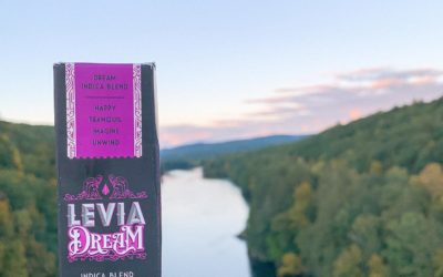 a serene scene with LEVIA Dream water soluble tincture 💭 #leviabrands