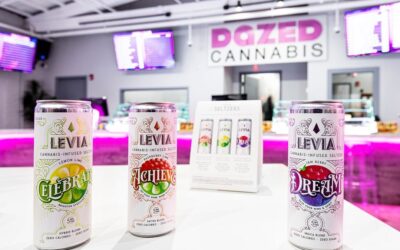 Congrats to @dazedcanna on their grand opening in Holyoke And major creds to @prarchitecturephotographer for this amazing photo! #leviabrands