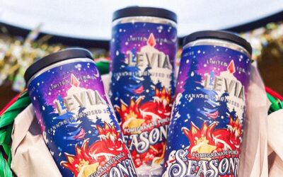 @boston.garden knows exactly what you want for the holidays  #leviabrands