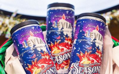 @boston.garden knows exactly what you want for the holidays  #leviabrands