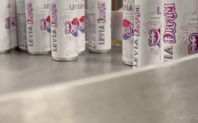 Dreaming of all that 2022 has to offer  Happy New Year’s Eve to all! #leviavideo