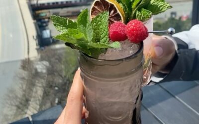 Celebrate #NationalCocktailDay with a LEVIA mocktail instead! #leviavideo