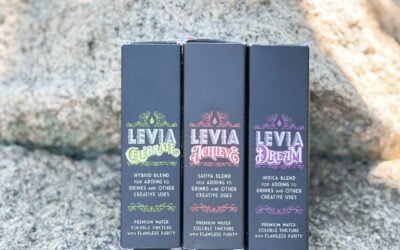 We have the perfect boost for any mood or mindset 🧚 #leviabrands