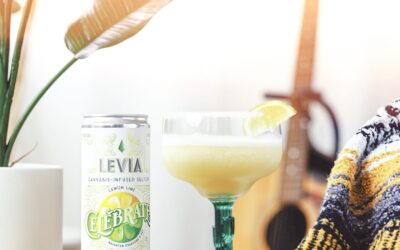 “One tequila, two tequila, three tequila, floor…I swear that I will never drink tequila on Cinco de Mayo anymore!” Raise your hand if you have been left feeling like this the day after celebrating Cinco de Mayo… well, you’re in luck because there is still a way that you can celebrate Cinco de Mayo with a buzz, minus the tequila and dreaded hangover the next day! All you need is your LEVIA experience of choice and non-alcoholic margarita mix! Mix together, add to a glass with a salted rim and ice, and enjoy! #leviabrands