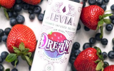 Relax and rejuvenate with LEVIA Dream, our Indica blend that gives you that easy feeling  #leviabrands