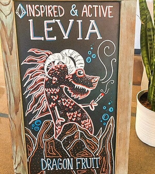 Shout out to our friends at @neta__now in Northampton for the support of our newest seasonal flavor! Their manager, Brooke, drew this awesome sign inspired by our newest can’s design created by @keever. #leviabrands