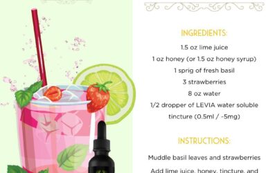 Summer is here and we have just the thing for you! Step up your mocktail game with a cannabis-infused drink, using our tinctures. Let us know if you give it a try  #leviabrands