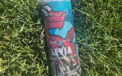 Are you ready for a long weekend? Cause we sure are. Nothing pair better with this beautiful weather than our Summer Seasonal! #leviabrands