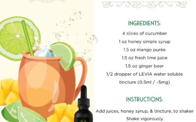 Get creative with our tinctures and discover your new favorite summer drink 🥭 #leviabrands