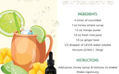 Get creative with our tinctures and discover your new favorite summer drink 🥭 #leviabrands