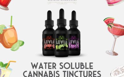 Exciting news – LEVIA’s water-soluble tinctures in Dream, Celebrate, and Achieve are coming to #Nevada and #Arizona! This marks the first expansion for our brand, outside of Massachusetts. #AyrWellness #leviabrands