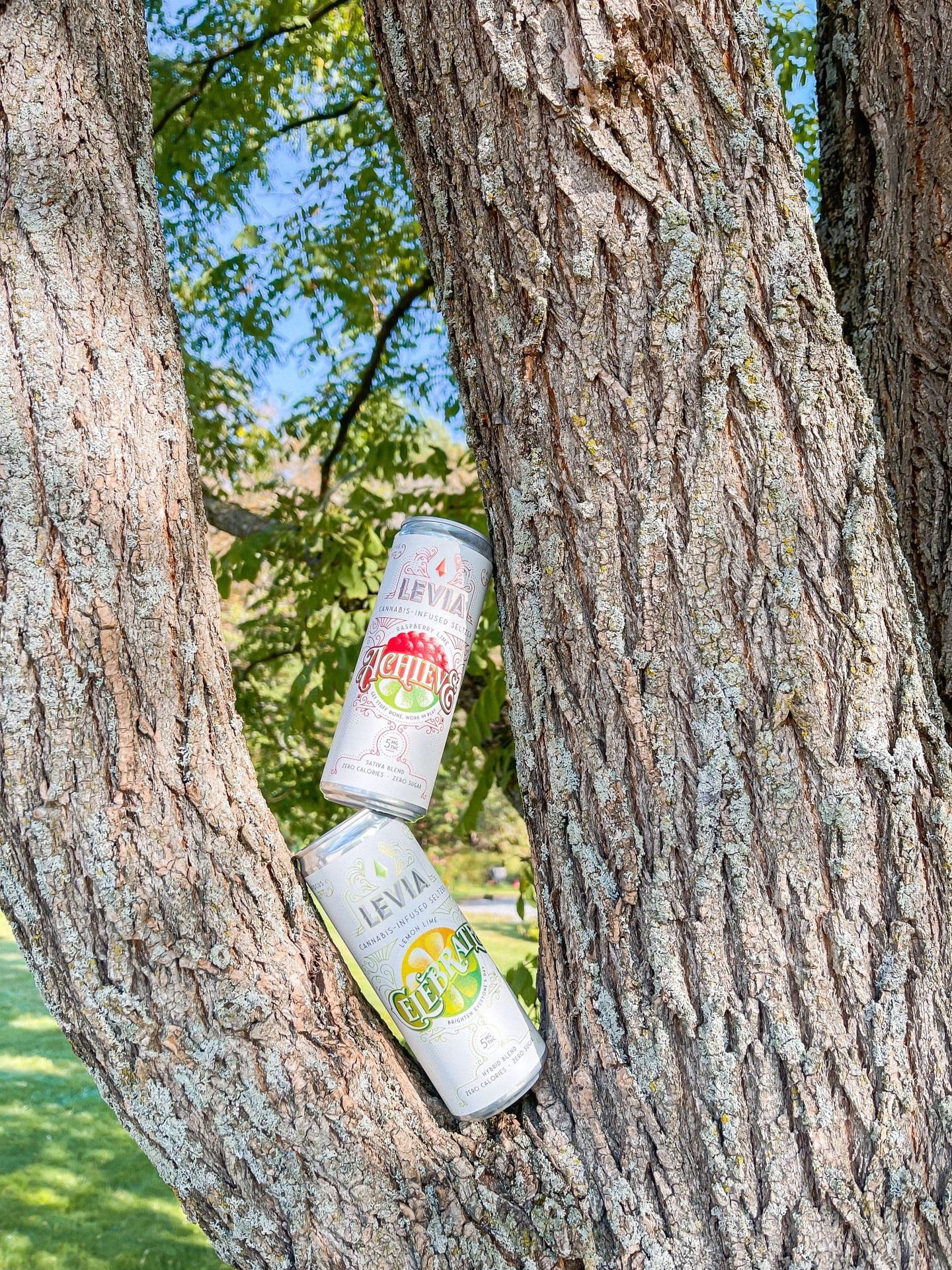 | LEVIA Celebrate or Achieve Hybrid or Sativa Whats your favorite experience