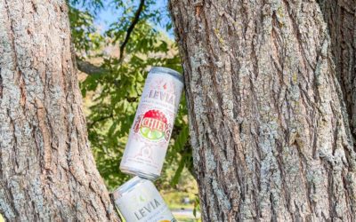 Celebrate or Achieve? Hybrid or Sativa? What’s your favorite experience? #leviabrands