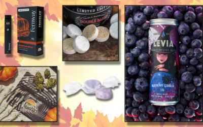 Pumpkin Spice, Apple Fritter, and Other Fall Cannabis Flavors To Savor – Dig Bos