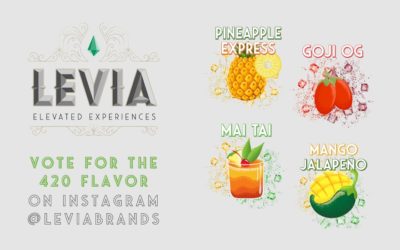 LEVIA asks fans to choose next limited-edition cannabis seltzer | Cannabis Products Insider