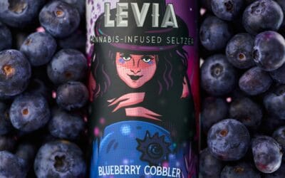 Spooky season starts now 🧙‍♀️  Blueberry Cobbler is now available at all @ayr_mass stores! Find it at the rest of your favorites stores starting this week 🫐 #leviabrands : @craigcapellophotography