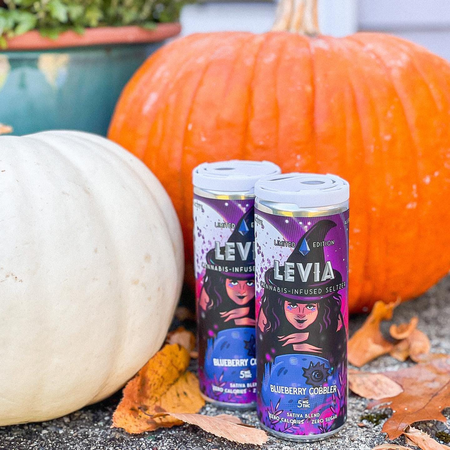 | LEVIA Channeling our witchiest mood all October long: @nickgemelli