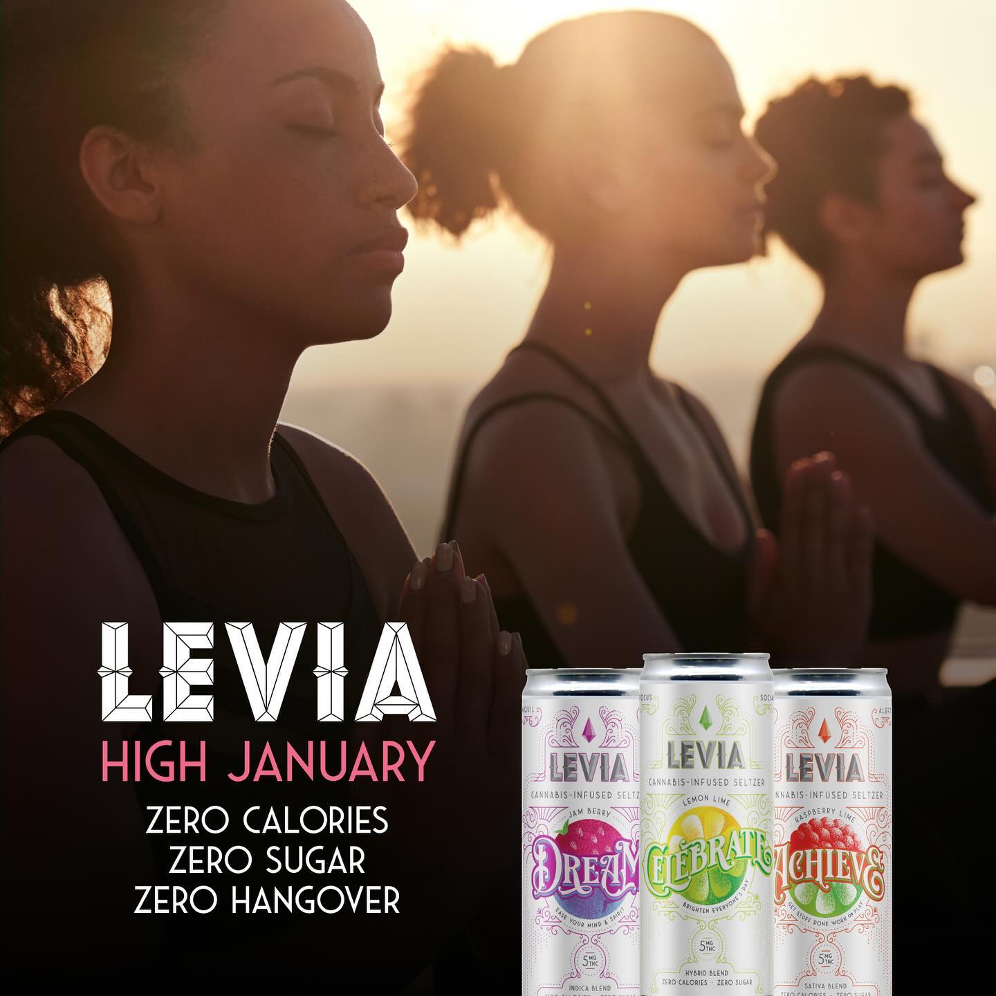 Toast to a Higher Perspective: A LEVIA-infused High January Journey is the perfect way to kick off a healthy and mindful 2024.
It’s only January 3rd! Start today! Visit your favorite @leviabrands retail partner or any @ayr_mass or @SiraNaturals location today!