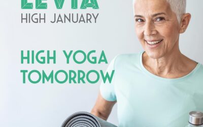 Want to try High Yoga and LEVIA? Here’s your chance! Join us tomorrow in Charlestown for a wellness event sure to jazz up your Dry January. See you there! Link for tickets! https://www.dinner-at-marys.com/online-store/Canna-Yoga-1-24-Levia-p613373973 #leviabrands