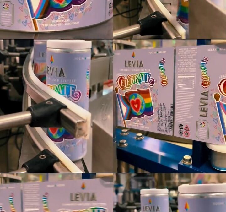 🏳️‍2024🏳️‍ #DREAMwithus  #leviabrands