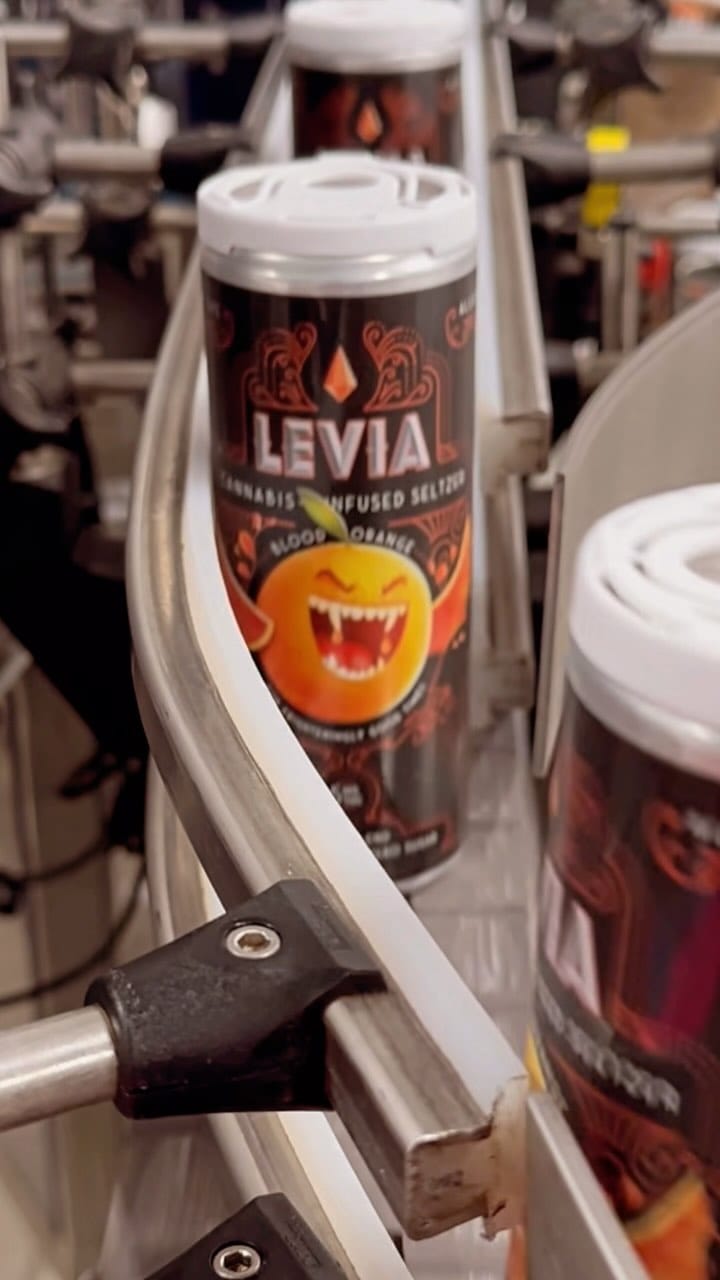 | LEVIA Like somethin is brewin and bout to begin
