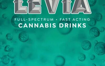 Introducing…a fresh perspective🧡 #spreadthelevia 🫧 #leviabrands #dreamwithus #seltzersummer #newyearnewus