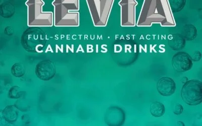 Introducing…a fresh perspective🧡 #spreadthelevia 🫧 #leviabrands #dreamwithus #seltzersummer #newyearnewus