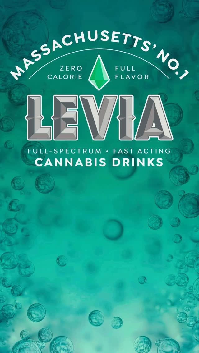 | LEVIA Introducinga fresh perspective🧡 🫧